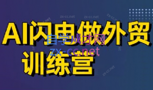 大卫·AI闪电做外贸训练营(更新6月)-聊项目