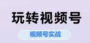 玩转视频号,视频号实战系列课-聊项目