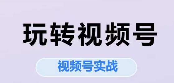 玩转视频号，视频号实战系列课-聊项目