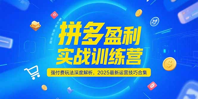拼多多盈利实战训练营，强付费玩法深度解析，2025运营技巧合集-更新6月-聊项目