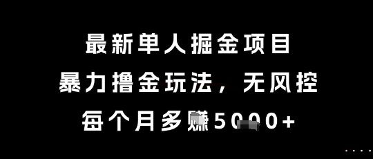 最新单人掘金项目，暴力撸金玩法，无风控，每个月多挣5k+【揭秘】-聊项目