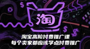 淘宝高阶付费推广课,每个卖家都应该学点付费推广-聊项目