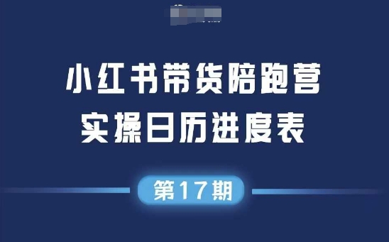 小红书第17期带货陪跑营，不囤货，无不直播，无不投流，通过选品+笔记内容+测品+笔记铺量+矩阵运营打爆款-聊项目