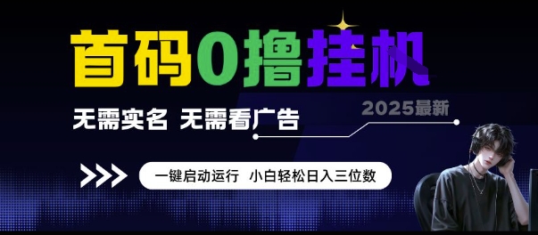 首码0撸挂G项目，无需实名无需看广告 一键启动运行，小白轻松日入三位数【揭秘】-聊项目
