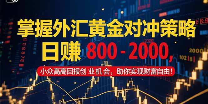 掌握外汇黄金对冲策略，日赚 800 – 2000，小众高回报创业机会，助你实…-聊项目