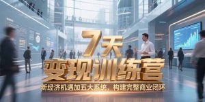 7天咨询师变现训练营，新经济机遇加五大系统，构建完整商业闭环-聊项目