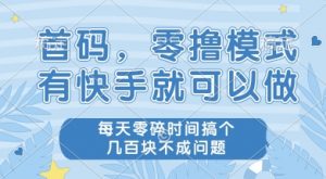 首码零撸项目，有快手就可以做，每天业务时间搞个几张不是问题【揭秘】-聊项目