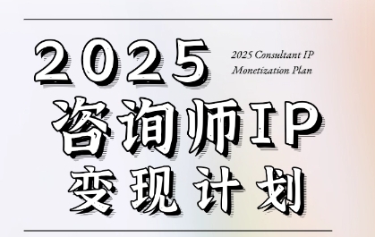7天构建咨询师变现系统，2025咨询师IP变现计划训练营-聊项目