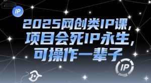 2025网创类IP课,项目会死IP永生,可操作一辈子-聊项目