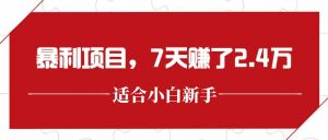 最新暴利项目,每单收益轻松在300以上,7天赚了2.4万-聊项目