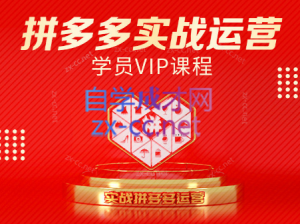 推易电商·拼多多实战运营课(更新2025月)-聊项目