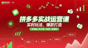 拼多多实战运营课,实时玩法,爆款打造,改销量,补大单,AB单,直播等(更新2025月)-聊项目