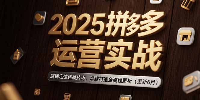 2025拼多多运营实战：店铺定位选品技巧，爆款打造全流程解析(更新6月-聊项目
