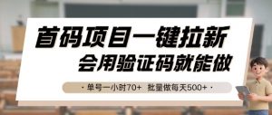 首码项目一键拉新,会用验证码就能做 单号一小时70+,批量做每天5张【揭秘】-聊项目