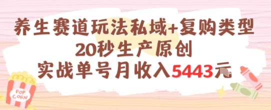 养生赛道玩法私域+复购类型，20秒生产原创实战单号月收入5k+-聊项目