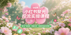 小红书聚光投流实操课程,聚光广告投放、数据分析、做高效低成本获客-聊项目