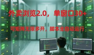 外卖浏览2.0,单窗口30+可矩阵无限多开,脚本全自动运行【揭秘】-聊项目