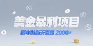 美金暴利项目,四小时当天提现 2000+机会留给会选赛道的人-聊项目