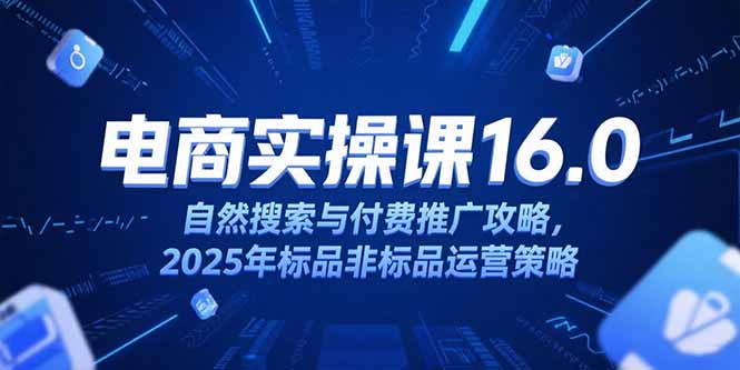 淘宝电商运营课16.0，自然搜索与付费推广攻略，2025年标品非标品运营策略-聊项目