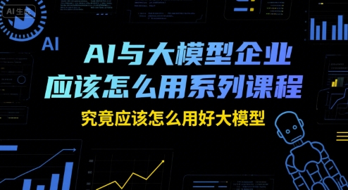 AI与大模型企业应该怎么用系列课程，究竟应该怎么用好大模型-聊项目