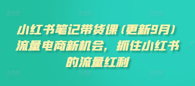 小红书笔记带货课(更新25年6月)流量电商新机会，抓住小红书的流量红利-聊项目