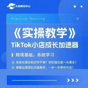 大卖家孵化中心TikTok实操课，TikTok小店成长加速器，跨境基础系统学习，一步一步带你开店-聊项目