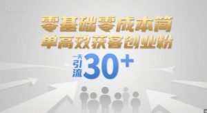 零基础零成本简单高效获客创业粉,一天引流30+-聊项目