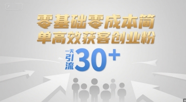 零基础零成本简单高效获客创业粉，一天引流30+-聊项目