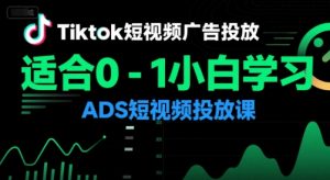 Tiktok短视频广告投放，适合0-1小白学习ADS短视频投放课-聊项目