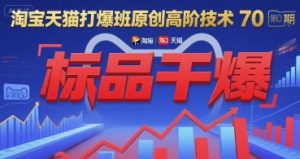 淘宝天猫打爆班原创高阶技术第70期：标品干爆-聊项目