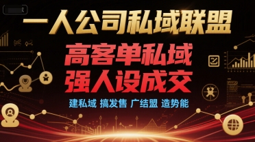 一人公司私域联盟，高客单私域，强人设成交，建私域 搞发售 广结盟 造势能-聊项目