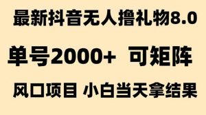 抖音无人撸礼物8.0玩法 全新风口 见效果快 全无人 单号当天产出2000+-聊项目