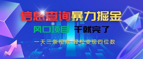 信息查询暴力掘金，一天三条视频，轻松变现四位数，风口项目干就完了【揭秘】-聊项目