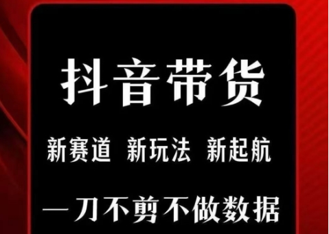 抖音短视频一刀不剪带货，不剪辑，不直播，每天发个视频，等着出单获取带货佣金-聊项目