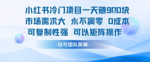 小红书冷门项目一天收益9张,市场需求大,0成本,可复制性强可以矩阵操作-聊项目