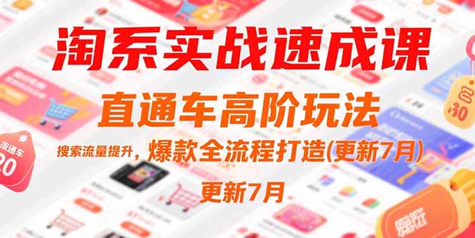 淘系实战速成课，直通车高阶玩法，搜索流量提升，爆款全流程打造(更新7月-聊项目