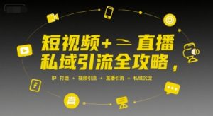 短视频+直播私域引流全攻略，IP打造 +视频引流 +直播引流 +私域沉淀-聊项目