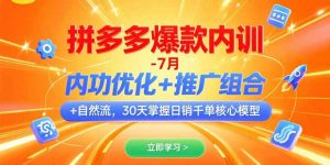 拼多多爆款内训-7月 内功优化+推广组合+自然流 30天掌握日销千单核心模型-聊项目