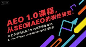AEO 1.0 课程，从SEO到AE0的基命性转变，手把手教会你用AnswerEngineOptimization技术抢回流量-聊项目