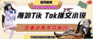 海外tiktok小说推文暴力项目,高停留率,高转化率,上手后一天搞顿饭钱不是问题-聊项目