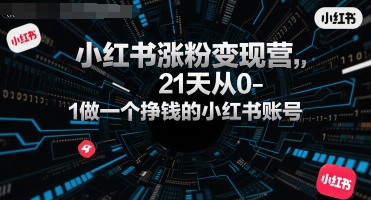 小红书涨粉变现营，21天从0-1做一个挣钱的小红书账号-聊项目