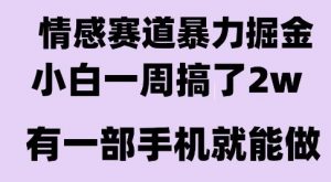 情感暴力掘金项目,新人操作一周挣了2W,长期稳定小白可做【揭秘】-聊项目