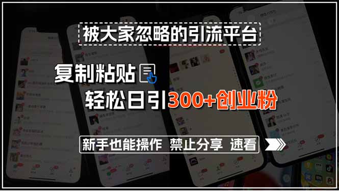 被大家忽略的引流平台，复制粘贴轻松日引300+创业粉，新手也能操作，禁…-聊项目