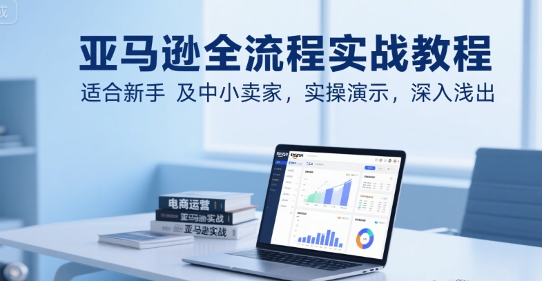 亚马逊全流程实战教程，适合新手及中小卖家，实操演示，深入浅出-聊项目