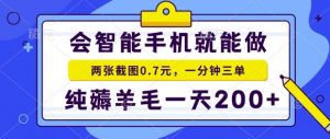 2025年零撸手机项目,二十秒一单,纯薅羊毛,一天200+做就有【揭秘】-聊项目