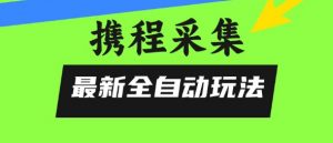 携程信息采集全自动玩法,0风控,无脑开干【揭秘】-聊项目