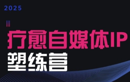 2025治愈自媒体IP训练营，专为疗愈领域从业者打造-聊项目
