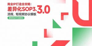 商业IP打造全攻略:差异化SOP3.0流程,短视频协议模板,婚恋项目实战案例-聊项目