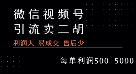 视频号卖二胡教程，利润大 易成交 售后少，一单利润5张+-聊项目