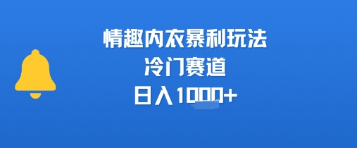 情趣内衣暴利玩法，冷门赛道，日入1k+-聊项目